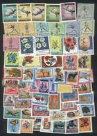 AFGHANISTAN: Lot Of VERY THEMATIC Stamps, Mint Never Hinged And Of Excellent Quality, Good Opportunity At A Low Start! - Afghanistan