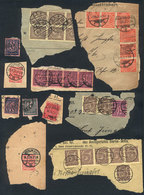 GERMANY: Lot Of Used Stamps On Fragments Of Covers, Including Many Interesting Postages, High Catalog Value, Good Opport - Other & Unclassified