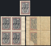 ARGENTINA: GJ.669, 10P. Grapes, Block Of 4 With Varieties: Double Impression Of Black Center And Notable Offset Impressi - Oficiales
