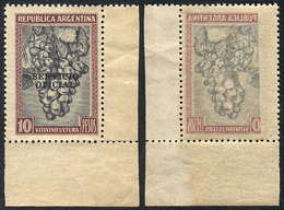 ARGENTINA: GJ.669, 10P. Grapes, With Variety: Notable OFFSET Impression On Back, Excellent! - Officials
