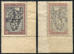 ARGENTINA: GJ.669, 10P. Grapes, With Variety: Notable OFFSET Impression On Back, Excellent! - Service