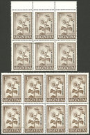 ARGENTINA: GJ.740, Blocks Of 6 And 8, 2 PRINTINGS In VERY DIFFERENT COLORS, One In Normal Color (light Dun, Block Of 6)  - Dienstzegels