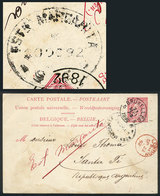 ARGENTINA: Postal Card Sent From Belgium To Santa Fe, With The Very Rare Oval Postmark Of ESTACION MARGARITA Applied On  - Other & Unclassified