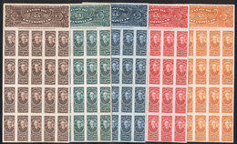 ARGENTINA: Impuesto Sanitario 5c., TRIAL COLOR PROOFS Printed By Cía. Sudamericana De Billetes De Banco De Buenos Aires, - Other & Unclassified