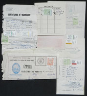ARGENTINA: DOGS: 6 Varied Documents Related To Topic Dogs, All With Revenue Stamps Or Meter Postages, Interesting! - Andere & Zonder Classificatie