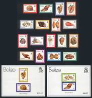 BELIZE: Sc.471/487 + 488/9, Sea Shells, Complete Set Of 19 Unmounted Values, Excellent Quality! - Belice (1973-...)