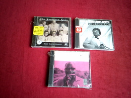 COLLECTION DE 3 CD DE JAZZ  °  WILLIE SMITH + THE SOUTHERN SONS + SONNY TERRY - Collezioni