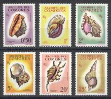 COMOROS: Yvert 19/24, Sea Shells, Complete Set Of 6 Values, Excellent Quality! - Komoren (1975-...)