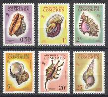 COMOROS: Yvert 19/24, Sea Shells, Complete Set Of 6 Values, Excellent Quality! - Comores (1975-...)