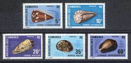 COMOROS: Yvert 72/76, Sea Shells, Complete Set Of 5 Unmounted Values, Excellent Quality! - Komoren (1975-...)