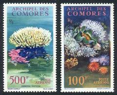 COMOROS: Yvert A.5/6, Marine Fauna And Flora, Set Of 2 Unmounted Values, Excellent Quality! - Comoren (1975-...)