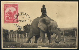 BELGIAN CONGO: ANIMALS: Elephan At Work, Maximum Card Of DE/1936, VF Quality - Altri & Non Classificati