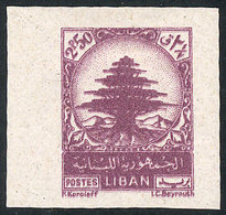LEBANON: Yvert 58, 1950 Cedar 2.50pi., IMPERFORATE, VF Quality! - Lebanon