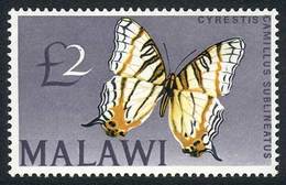MALAWI: Sc.51, Butterfly, Mint Never Hinged, Excellent Quality! - Malawi (1964-...)
