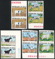 MALI: Yvert 432/436, 1981 Rams, Complete Set Of 5 Values In IMPERFORATE PAIRS, MNH, VF Quality! - Malí (1959-...)