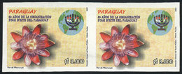 PARAGUAY: Sc.2824, 2007 Orchid, Map, Judaica, IMPERFORATE PAIR, Excellent Quality! - Paraguay