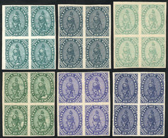 PARAGUAY: Sc.2, 1870 Lion 2R., REPRINTS: 6 Blocks Of 4 In Different Colors, Excellent Quality! - Paraguay