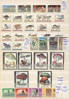 WORLDWIDE: Large Stockbook Full Of Stamps And Sets, VERY THEMATIC, Sorted By Yvert Number And With Price, Most MNH (a Sm - Andere & Zonder Classificatie