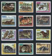 VENEZUELA: Yvert 668/673 + A.778/783, Animals, Complete Set Of 12 Unmounted Values, Excellent Quality! - Venezuela