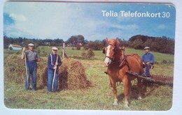 Farmer Plowing With Horse 30 Units - Schweden