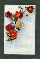 Catalogue Fleurs Et Légume Vilmorin Andrieux 1908 Paris - Agricoltura