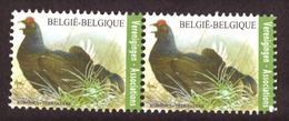 Belgique 2013 -  Fauna  Birds   (timbre D'association) Cond. MNH - Ongebruikt