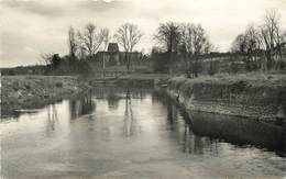 SAINT SAUVEUR LE VICOMTE - Bords De La Douve. - Saint Sauveur Le Vicomte