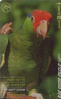 ISRAEL. BZ-294. (FAUNA). PARROTS - LOROS. Green Cheek Amazon. (099) - Parrots