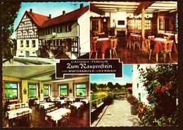 Winterkasten / Lindenfels / Odenwald  -  Gasthaus / Pension Zum Raupenstein  -  Mehrbild-Ansichtskarte Ca.1970  (10356) - Odenwald