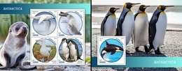 Sierra Leone 2019, Animals, Antartica, Penguins, 4val In BF +BF - Faune Antarctique