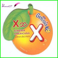 Magnet Pochoir GERVAIS L'Alphabet Avec Les Fruits Et Les Légumes " Le X De Ximenia Americana " Citron Des Mers - Buchstaben Und Zahlen