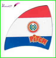 Magnet PITCH Les Drapeaux Des Pays " Le Paraguay " Republica Del Paraguay - Lettres & Chiffres