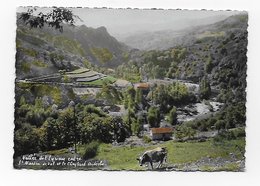 CPSM 07 Vallée De L' Eyrieux Entre St Martin De Val Et Le Cheylard - Saint Martin De Valamas