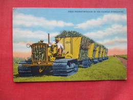 Black Americana      Field Transportation In Florida Everglades  Ref 3264 - Black Americana