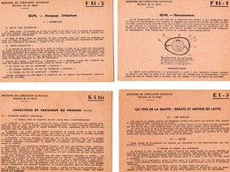 26 Fiches MINISTERE EDUCATION NATIONAL  Centre De Documentation Pédagogique  De Caen Année 1956- 1957 Impeccable Scannes - Fichas Didácticas