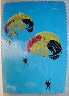 CP. 2529. Parachutistes, Les Black Devills. - Parachutting