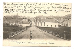 - 1541 -  NEUFCHATEAU   Panorama Pris De La Route D Hamipre - Neufchateau