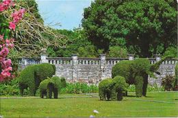 ELEPHANTS Designed With LIVING (Fresh) Plants In The Compund Of BANG-PA-IN-SUMMER Palace Near AYUDHYA - Oman