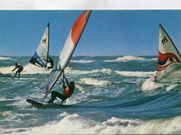 PLANCHE A VOILE - Sci Nautico