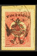 1913 20pa Rose Carmine, Perf 12 X 13½, Overprinted "Bihe" With Additional "Eagle" Ovpt In Black, Variety Inverted, SG 13 - Albania