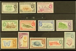 1953-62 Complete Definitive Set, SG 179/90, Never Hinged Mint (12 Stamps) For More Images, Please Visit Http://www.sanda - Honduras Británica (...-1970)