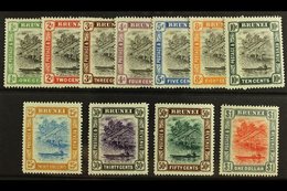 1907 Brunei River Set Complete, SG 23/33, Very Fine And Fresh Mint. (11 Stamps) For More Images, Please Visit Http://www - Brunei (...-1984)
