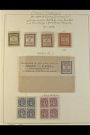 1892-1919 ATTRACTIVE MINT COLLECTION On Album Pages. With 1892 "Federation" 1d, 1½d (2, White & Toned Paper) And 10d, Pl - Islas Cook