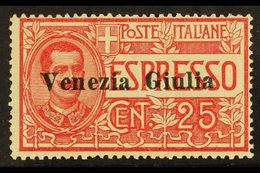 VENEZIA GIULIA 1919 25c Red Express, Sass 1, Very Fine Never Hinged Mint. Signed Sorani. Cat €450 (£340) For More Images - Unclassified