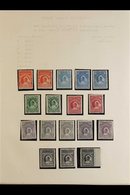 PROTECTORATE Superb Mint Collection Including Multiples With 1894 Issue (Oil Rivers Obliterated) Good Range Of Shades An - Autres & Non Classés