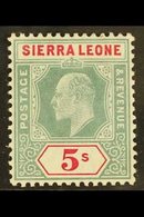 1903 5s Green & Carmine, SG 84, Very Fine Mint, Fine & Fresh! For More Images, Please Visit Http://www.sandafayre.com/it - Sierra Leona (...-1960)