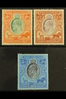 ORANGE RIVER COLONY REVENUES 1903 KEVII 10s Orange & Green, £2 Brown & Violet, Wmk Crown CC, 1905 3s Purple & Blue On Bl - Non Classificati
