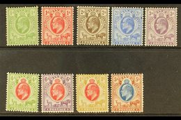 ORANGE RIVER COLONY 1903-04 Complete Set, SG 139/147, Mainly Fine Mint, The 1s With Faults. (9 Stamps) For More Images,  - Sin Clasificación