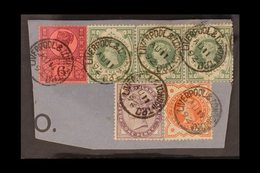 1892 (11 Aug) Piece Bearing 1887-92 1s Dull Green (SG 211) STRIP OF THREE, Plus ½d, 1d & 6d, All Tied By "LIVERPOOL & LO - Other & Unclassified