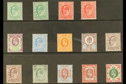 1902-10 De La Rue & Co Mint Selection On A Stock Card Inc Most Values To 1s With ½d, 1d & 6d Shades. (14 Stamps) For Mor - Non Classés